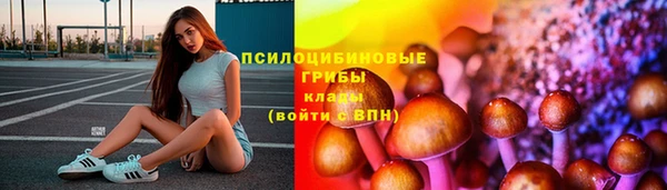 дживик Богородск
