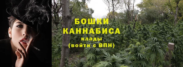 дживик Богородск