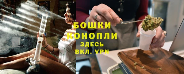 дживик Богородск