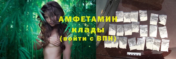 молекула духа Белоозёрский